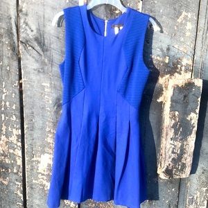 BCBG Maxazria Sleeveless Pleated Mini Dress Blue Medium